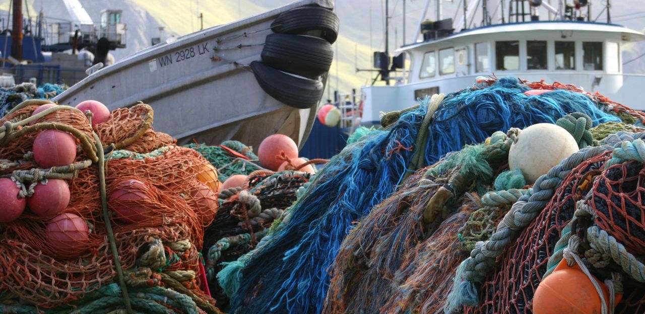 ajuts per fomentar la pesca i l'aqüicultura