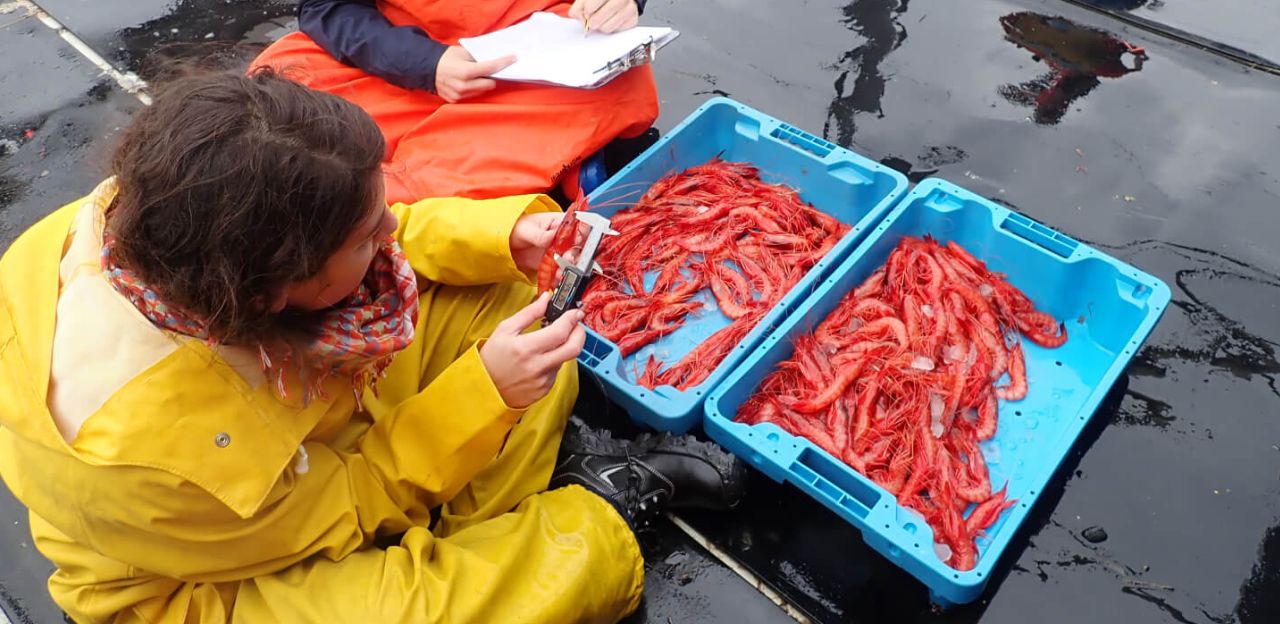 L'Institut Oceanogràfic de Catalunya presenta noves eines