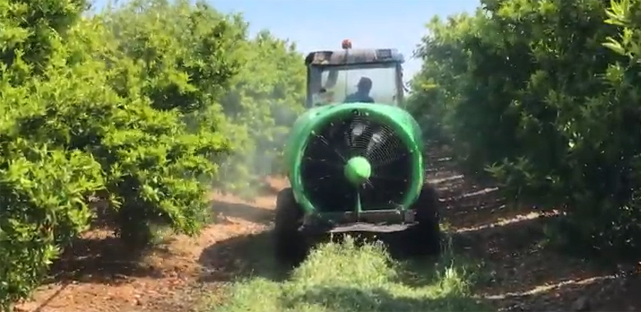 L’IRTA difon un vídeo explicatiu per a un ús més eficient i sostenible de fitosanitaris en cítrics