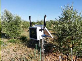 El paper dels sensors en la presa de dades agronòmiques