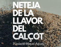 Neteja de llavors de calçot